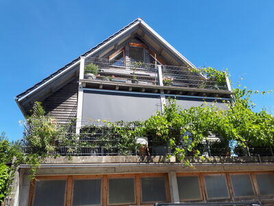 2020-07-08-15.21.40.jpg